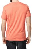 Tee-shirt TOM TAILOR PRINT Fig orange